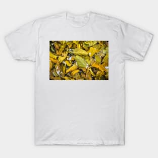 Yellow Autumn Leaves and Snow T-Shirt